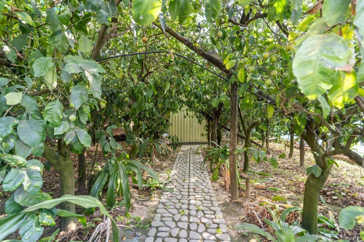 Villa Mimosa Rustic Elegance Views & Pool Масса-Лубренсе Экстерьер фото